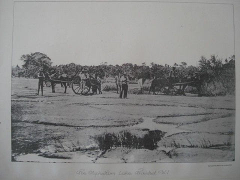 Asphaltum Lake in Trinidad, W. I., 1886. Photogravure
