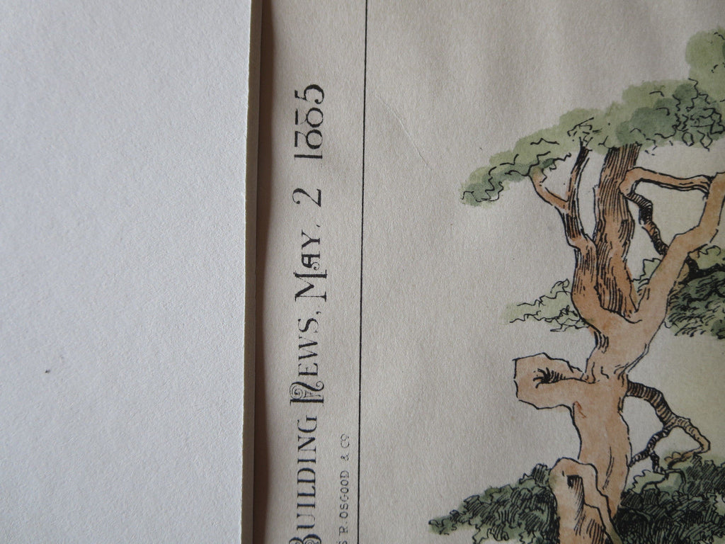 Charles Rutan Houses, Brookline, MA, 1885. Original Plan Hand Colored ...