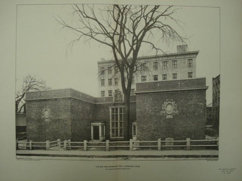 Big Tree Swimming Pool in Cambridge MA, 1902. R. Clipston Sturgis. Photogravure
