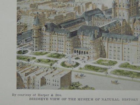 Museum of Natural History, New York, 1899, Cady, Berg & See, Original, Hand Colored.