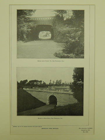 Park Bridges near Haight St. & Main Drive, San Francisco, CA, 1901, Lithograph.