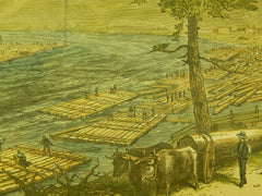 Rafts on the Susquehanna River, 1883, Original Scene, America Illustrated.