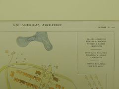 Building Layout for the Cook County Infirmary in Oak Forest IL, 1915. Richard E. Schmidt