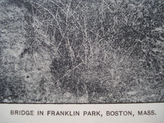 Bridge in Franklin Park, Boston, MA, 1901, Unknown