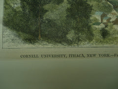 Cornell University, Ithaca, NY, 1873, n/a