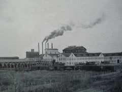 Minnesota Sugar Company- General View of the Buildings , St. Louis Park, MN, 1903