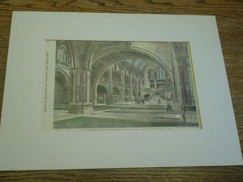 The New Natural History Museum. View of the Entrance Hall, or Typical Museum, South Kensington, England, UK, 1879, Mr. Waterhouse