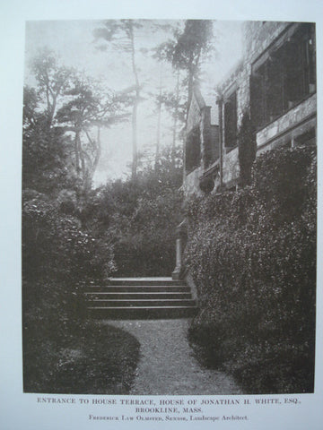 Entrance to the House Terrace of Jonathan H. White, Esq., Brookline, MA, 1917, Frederick Law Olmsted, Senior