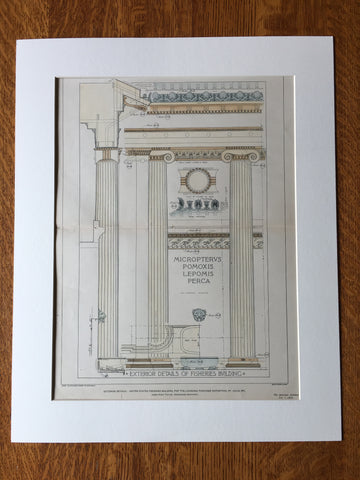 US Fisheries Building, Louisiana Purchase Expo, 1903, Hand Colored Original -