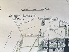 London County Lunatic Asylums, England, 1893, Original Hand Colored -